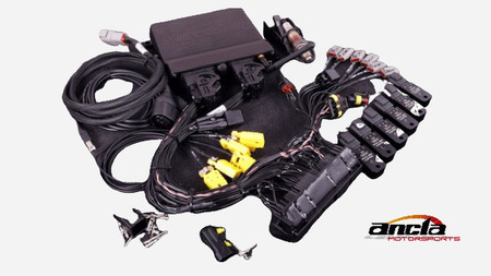 Terminated engine harness - BMW M50 with coils and LSU 4.2