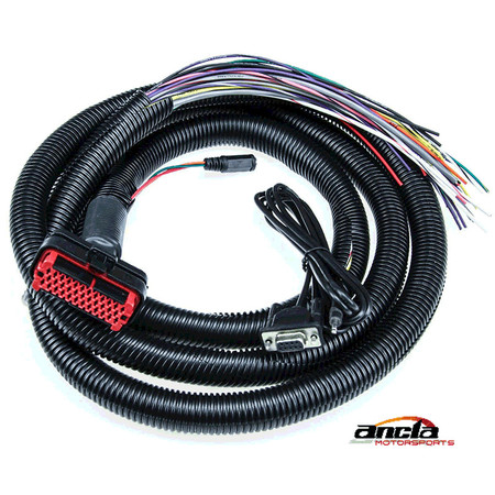 MicroSquirt Wiring Harness – 8ft