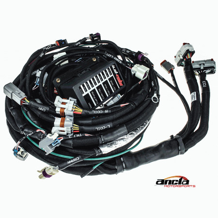 GM LS 24x Plug and Play Engine Harness – for MS3Pro Ultimate/Evo